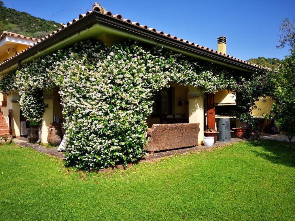 Villa Emilietta Villasimius Zewnętrze zdjęcie